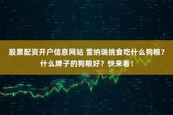 股票配资开户信息网站 雪纳瑞挑食吃什么狗粮？什么牌子的狗粮好？快来看！