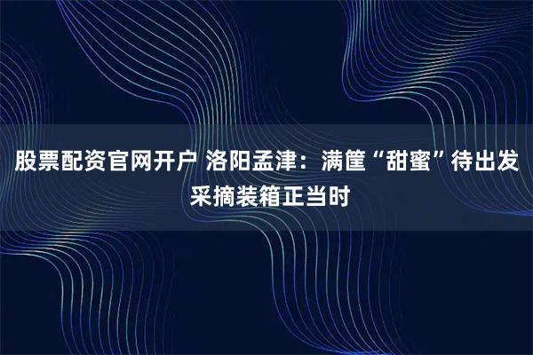 股票配资官网开户 洛阳孟津：满筐“甜蜜”待出发 采摘装箱正当时
