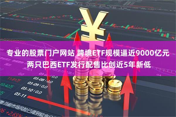 专业的股票门户网站 跨境ETF规模逼近9000亿元 两只巴西ETF发行配售比创近5年新低