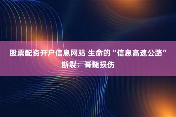 股票配资开户信息网站 生命的“信息高速公路”断裂：脊髓损伤