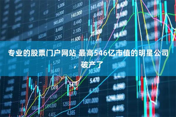 专业的股票门户网站 最高546亿市值的明星公司，破产了